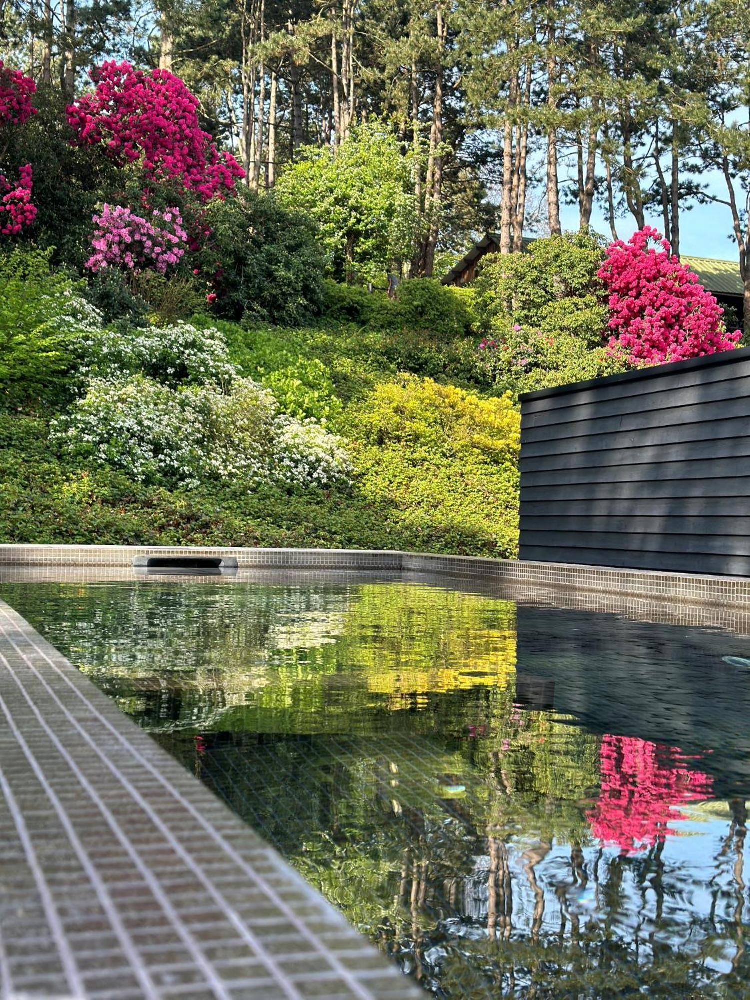 Hotel Les Pins De Cesar - La Campagne D'Etretat Saint-Jouin-Bruneval Exteriér fotografie